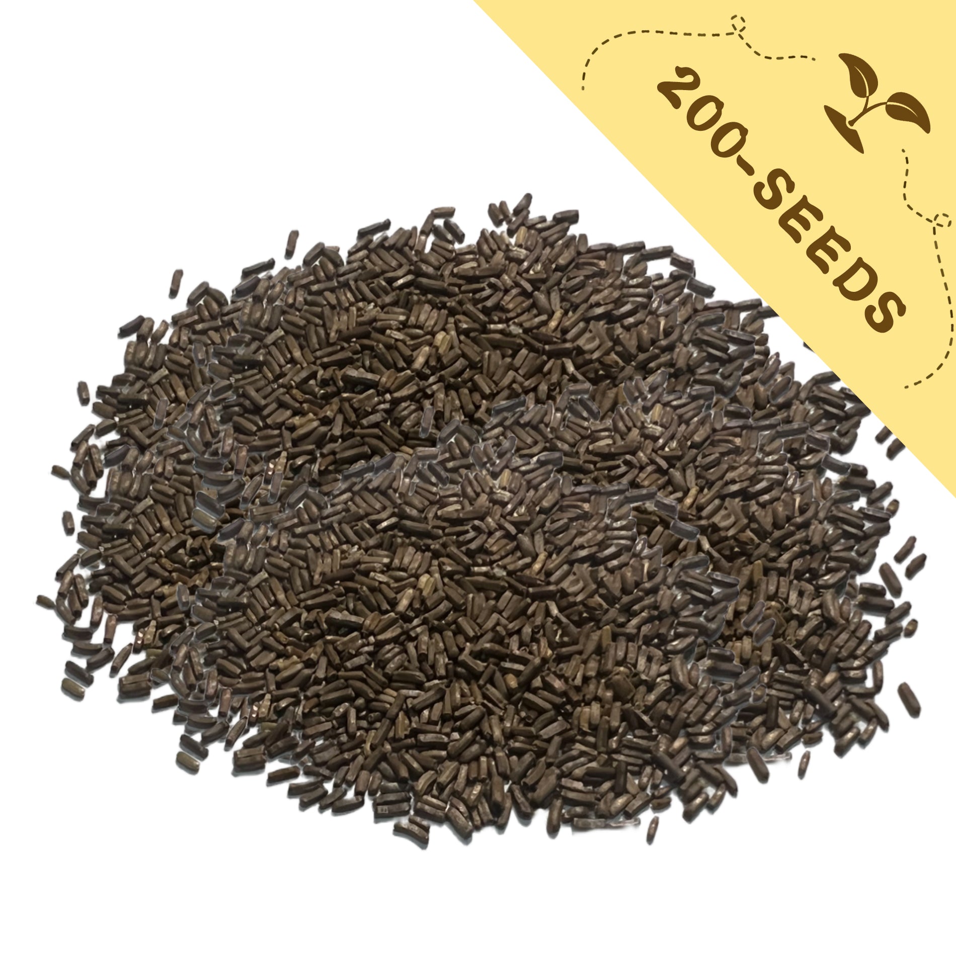 Pile of Everlasting Flower Strawflower Seeds black seeds with a yellow label indicating '200-seeds' on a white background