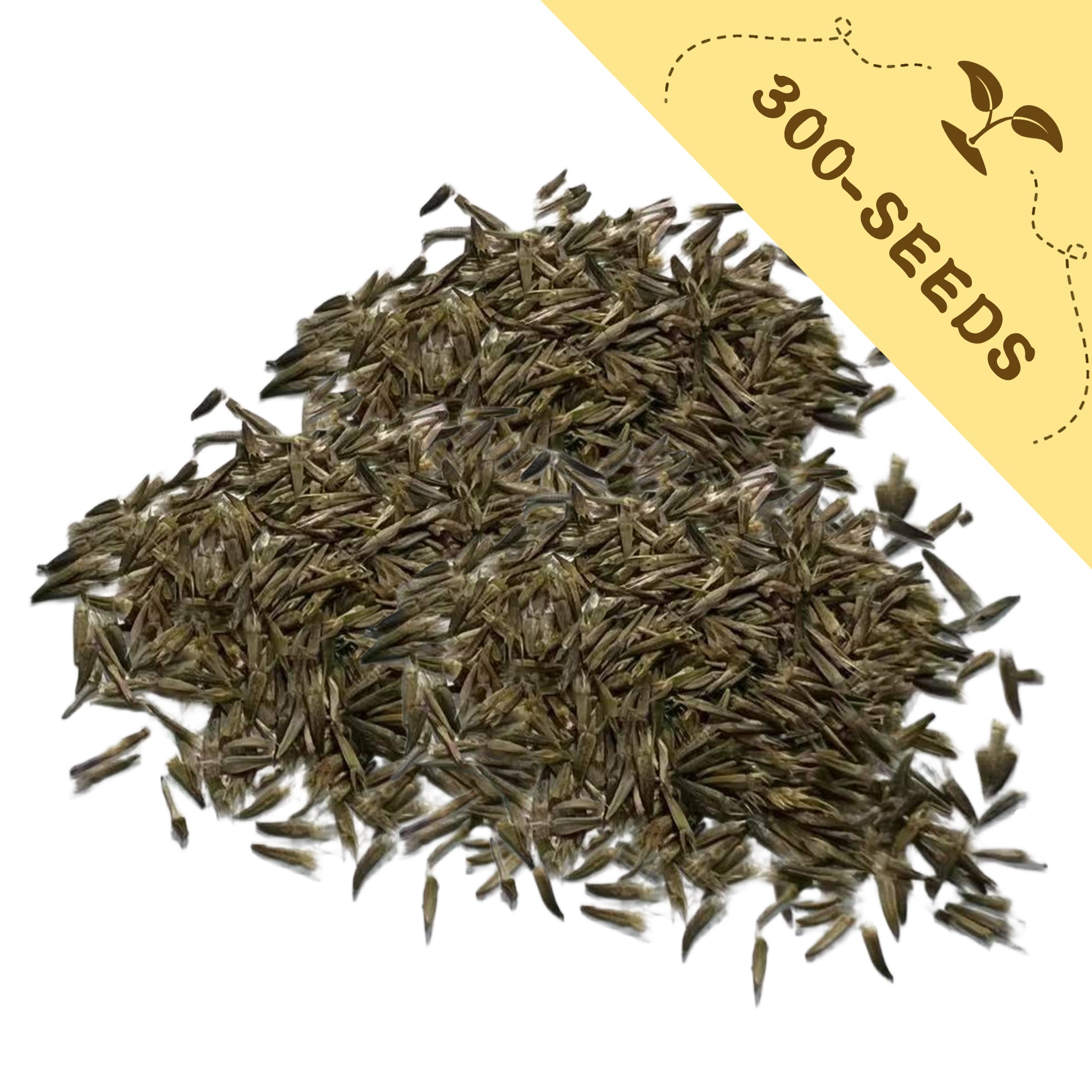 Pile of Xeranthemum Immortelle Annual Seeds Mix Colors with a yellow label indicating '300-seeds' on a white background