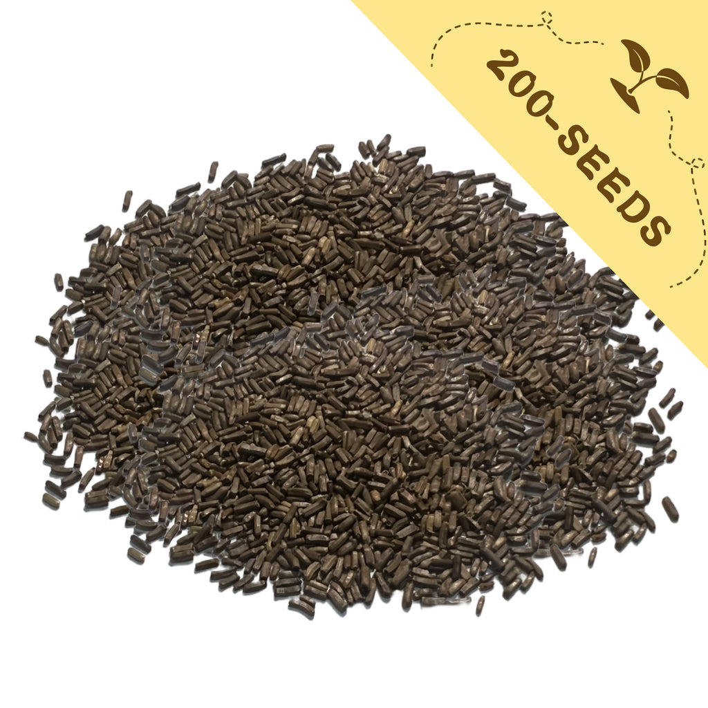 Everlasting Flower Strawflower Seeds with a yellow label indicating '200-seeds' on a white background