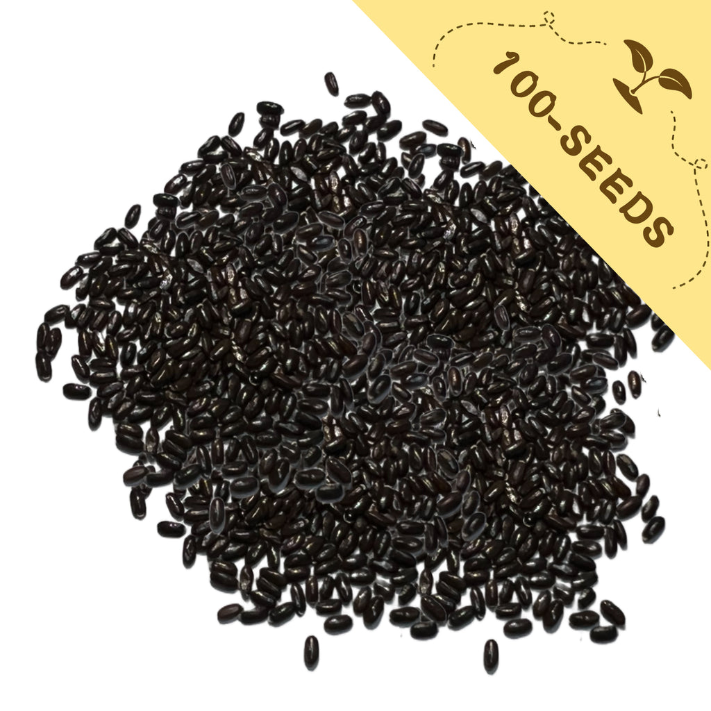 Pile of Fragrant English Lavender Seeds Mix Colors with a yellow label indicating '100-seeds' on a white background