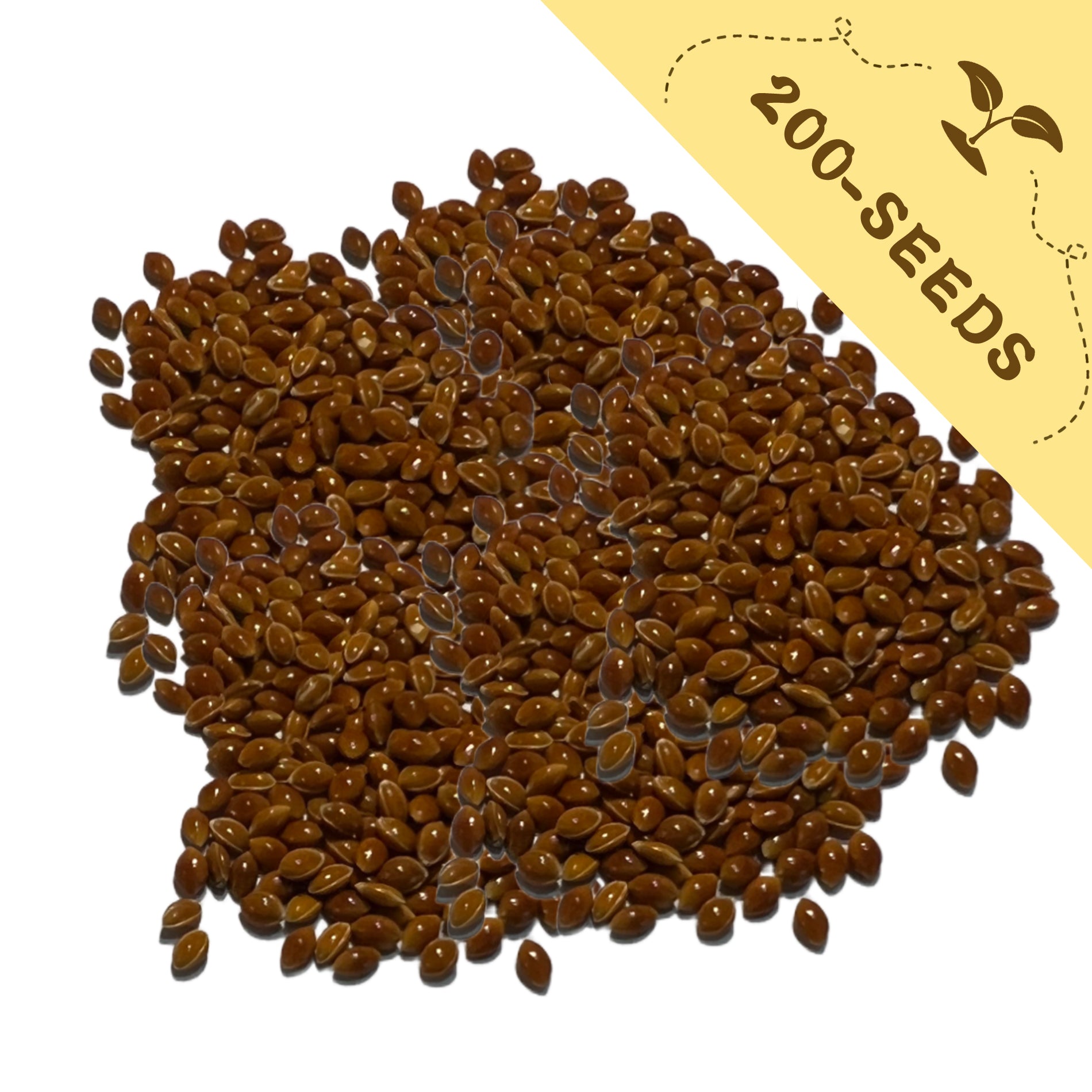Frosted Explosion Ornamental Grass Seeds with a yellow label indicating '200-seeds' on a white background