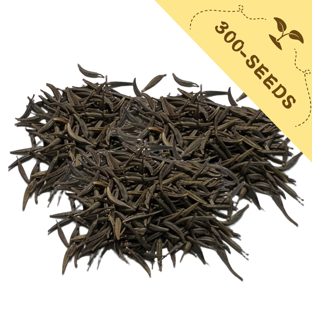 Heap of Mexican Aster Cosmos Seeds with a yellow label indicating '300-seeds' on a white background