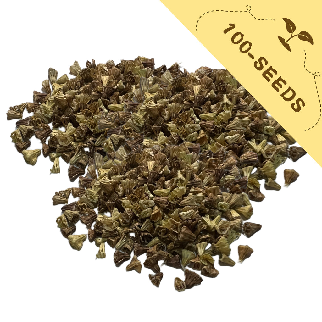Pile of Pincushion Flower Scabiosa Seeds green seeds with a yellow label indicating '100-seeds' on a white background