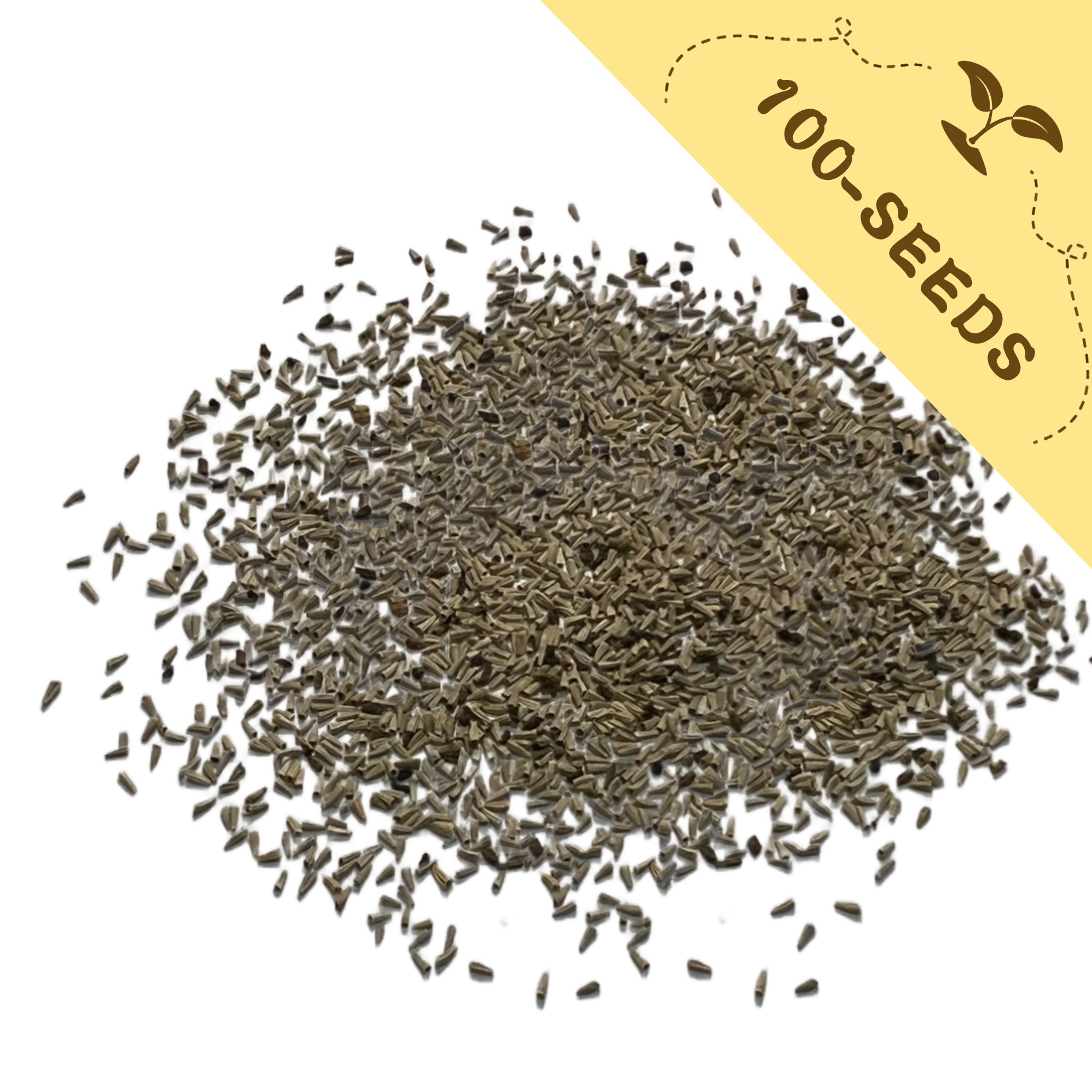 Pile of Feverfew Golden Chamomile Matricaria Seeds with a yellow label indicating '100-seeds' on a white background