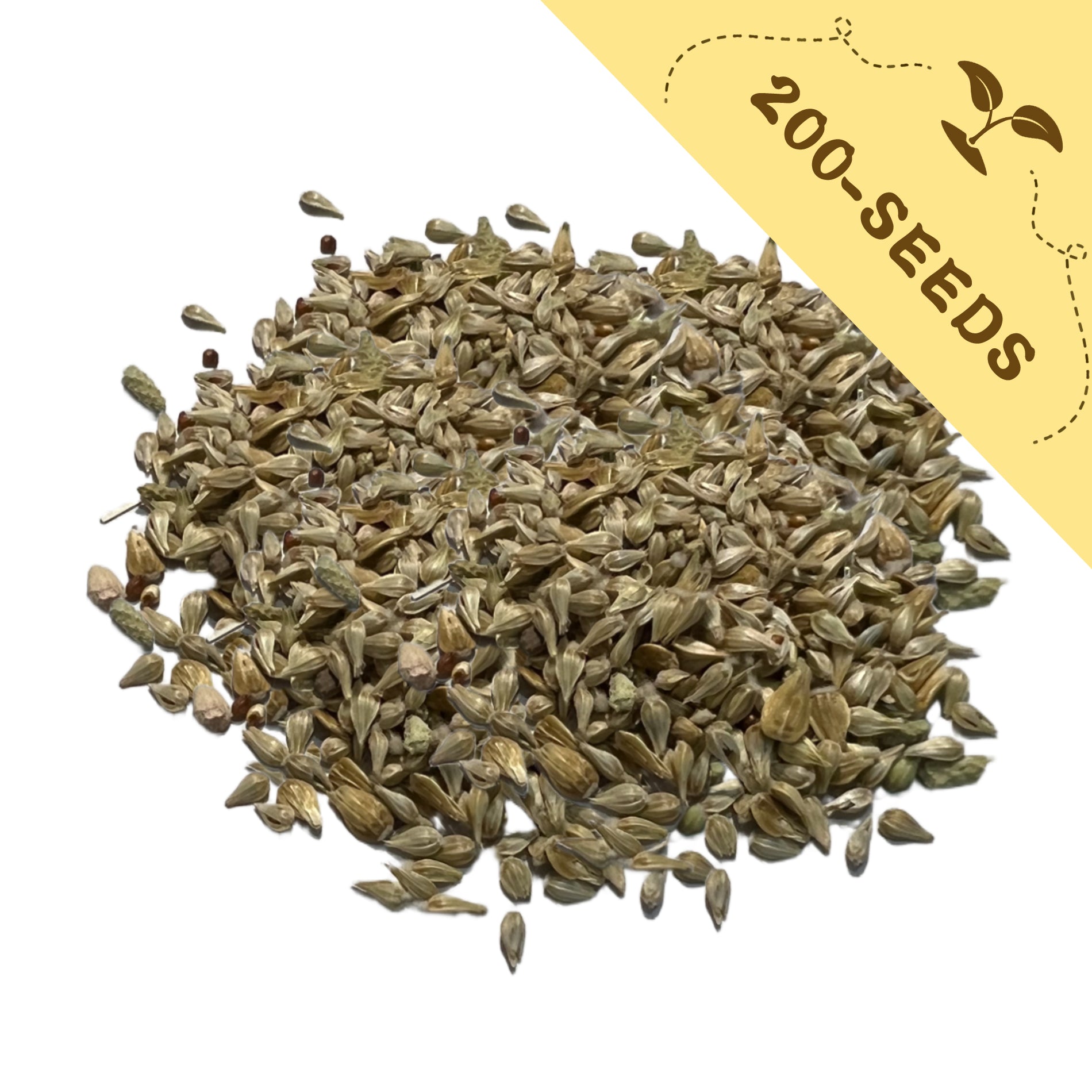 Pile of Globe Amaranth Gomphrena Seeds with a yellow label indicating '200-seeds' on a white background
