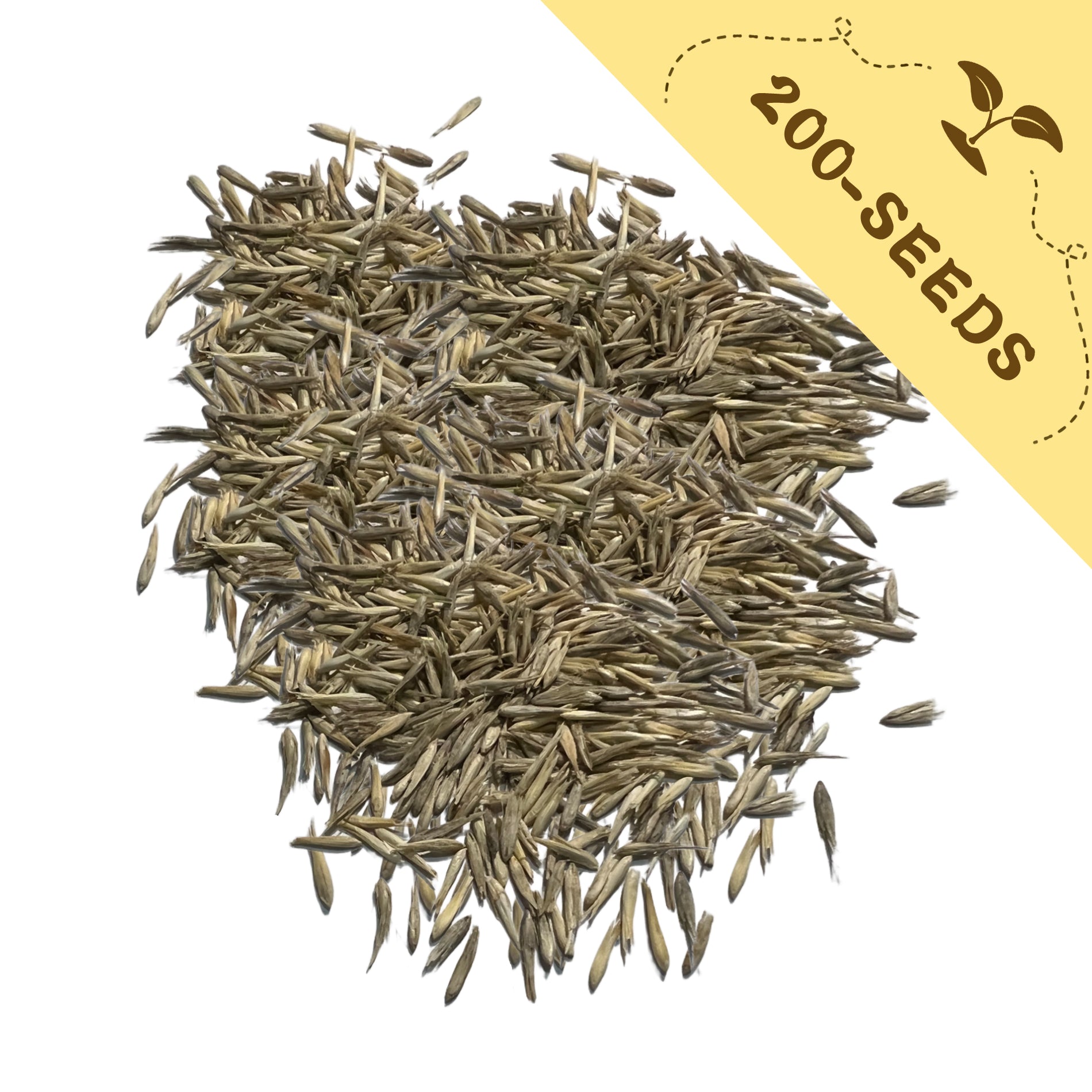 Pile of Feathertop Ornamental Grass Seeds with a yellow label indicating '200-seeds' on a white background