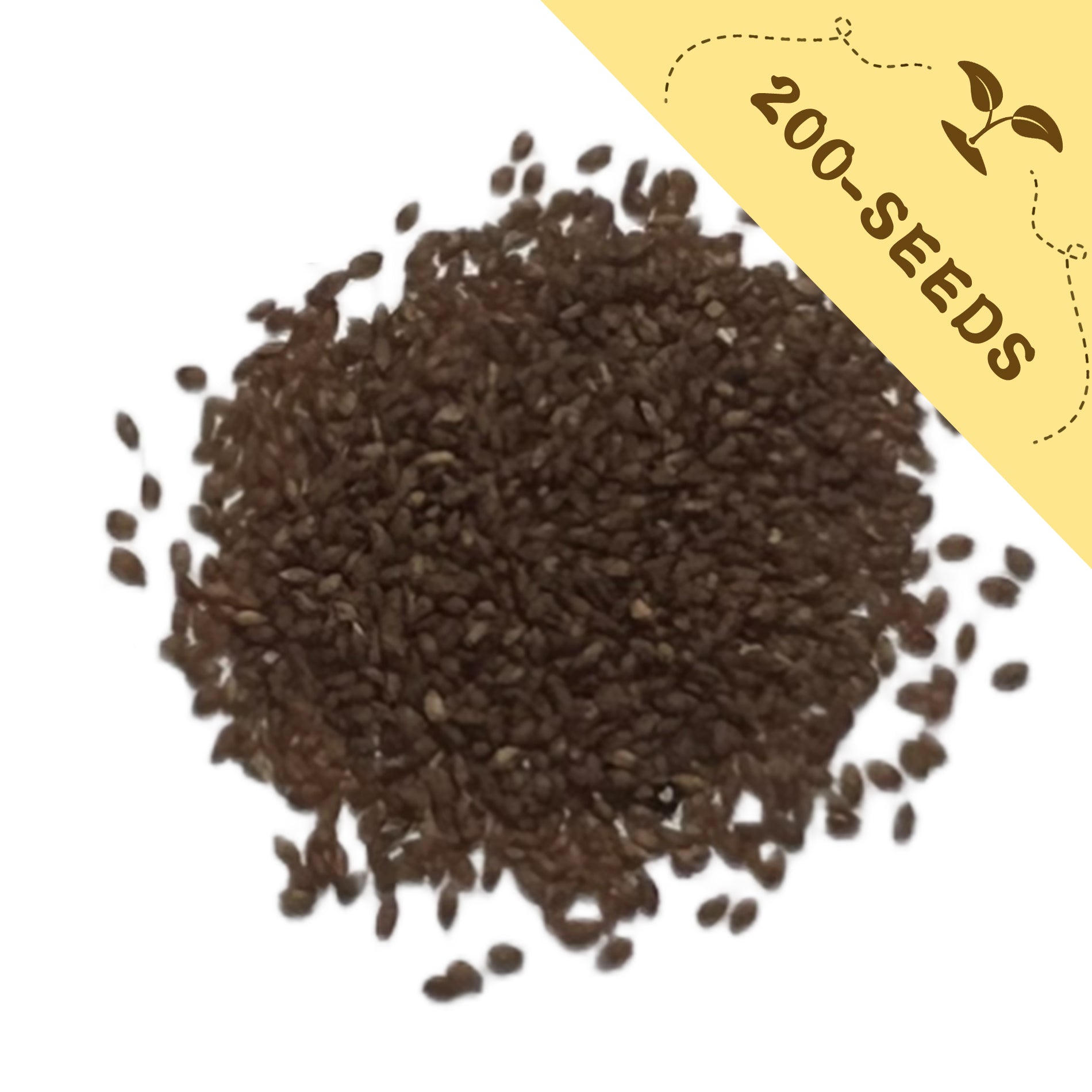 Pile of Silver Tip Ornamental Grass Seeds with a yellow label indicating '200-seeds' on a white background