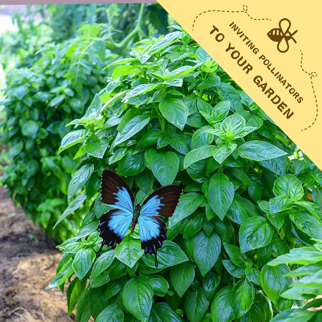 Green basil plant with a butterfly on it, featuring a label inviting pollinators to the garden.Green Ornamental Basil Seeds 200Pcs