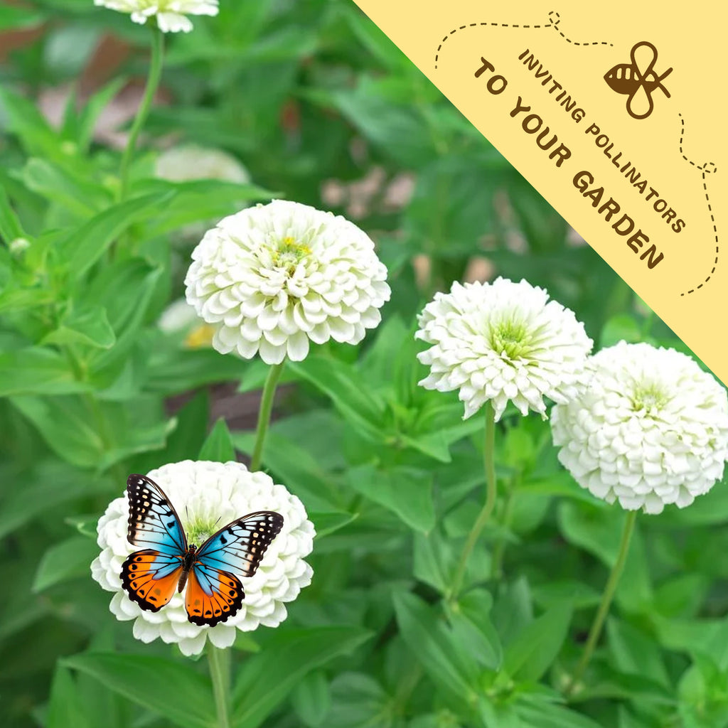 Elegant Cut & Come Again Zinnia Seeds White flowers with a butterfly on one of them, set against a green background with a banner inviting pollinators to the garden.