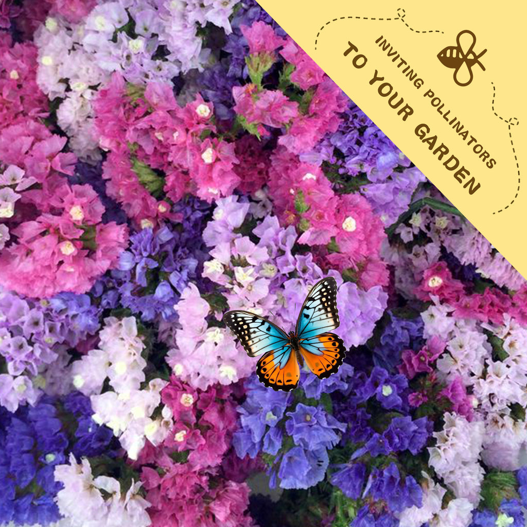 Colorful flowers Statice Seeds-Sea Lavender Everlasting with a butterfly and a label inviting pollinators to the garden.