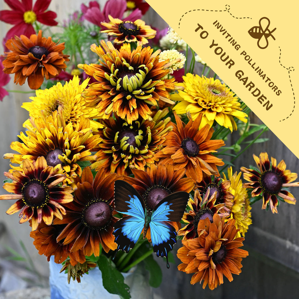Bouquet of Black-Eyed Susan Rudbeckia Seeds with a butterfly and text inviting pollinators to a garden.