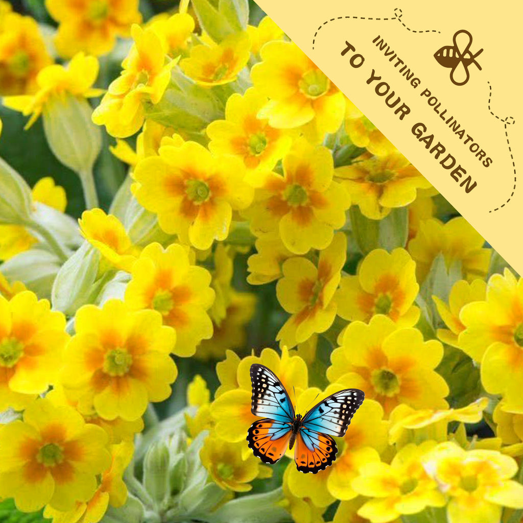 Tangerine Gem Marigold Seed Yellow flowers with a butterfly on a green background, featuring text inviting pollinators to a garden.