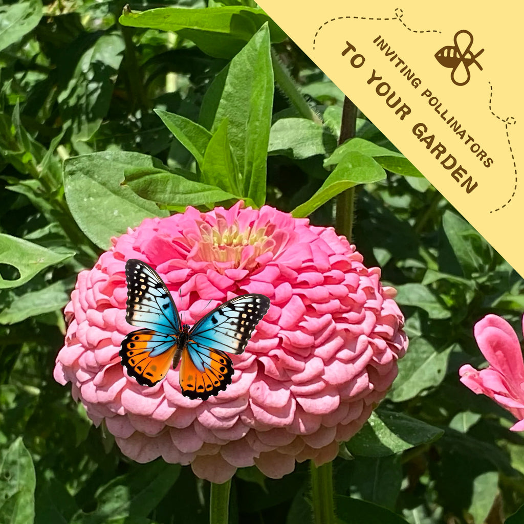 Zinnia Seeds Elegant Cut & Come Again Pink flower with a butterfly on it, surrounded by green leaves, and a banner inviting pollinators to the garden.