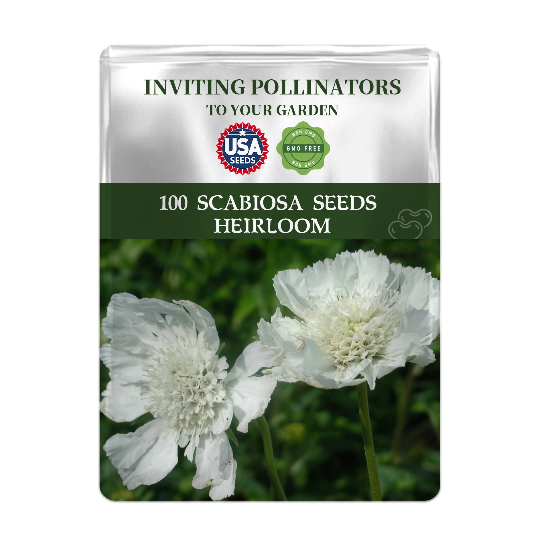 Seeds packet for Scabiosa seeds with white flowers on a green background