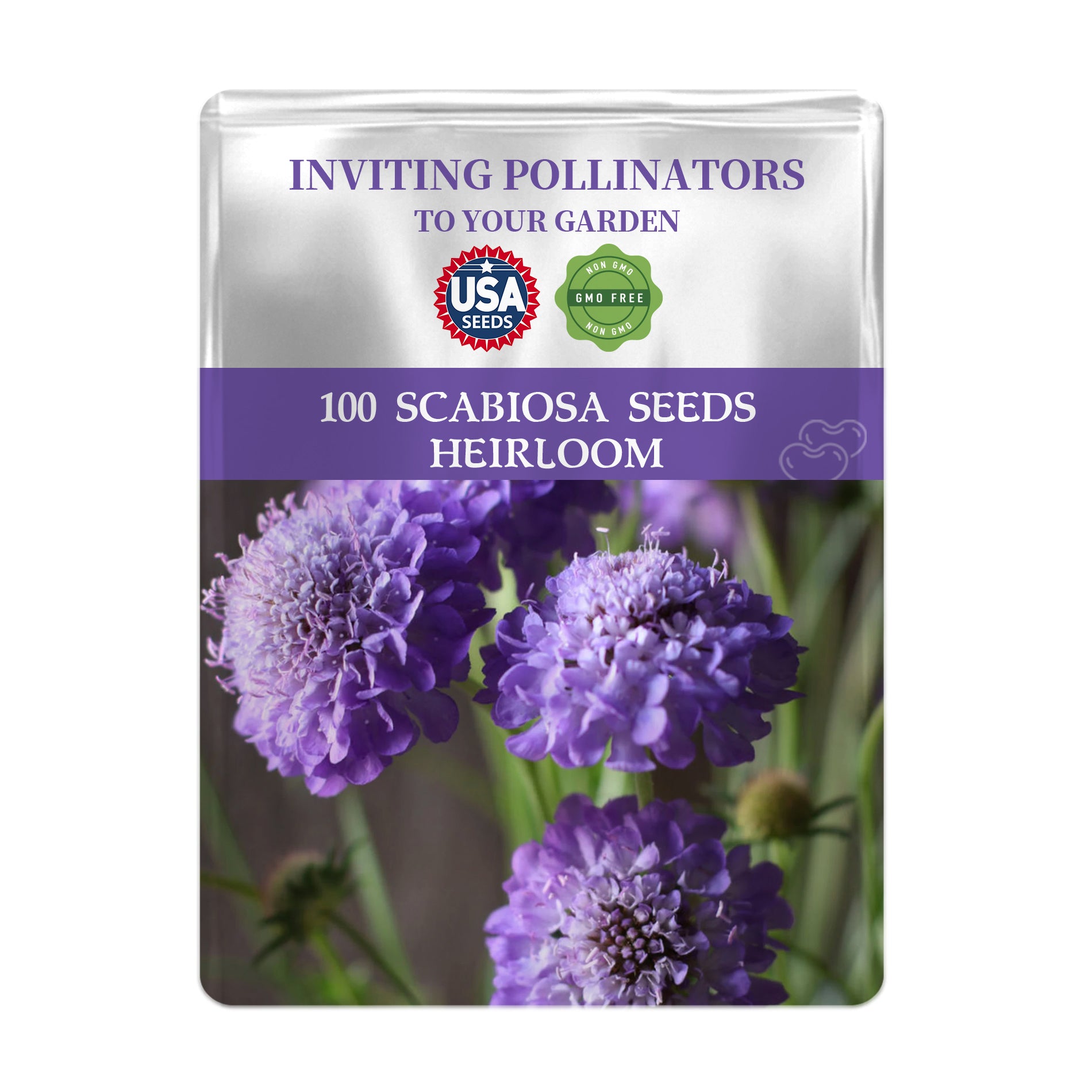 Seeds packet for Scabiosa seeds with purple flowers on a white background
