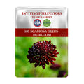 Seeds packet for Scabiosa seeds with a red flower on a white background