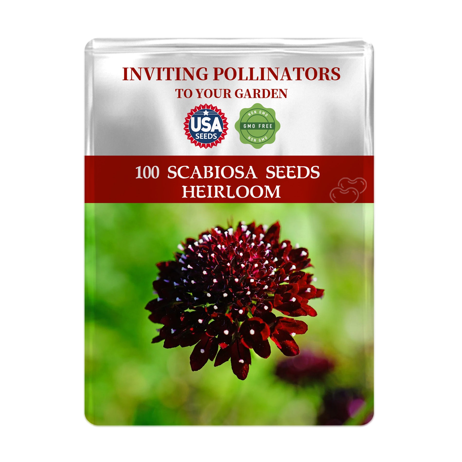 Seeds packet for Scabiosa seeds with a red flower on a white background