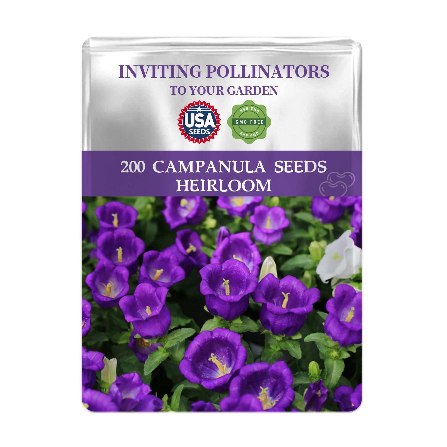 Bellflower Campanula Seeds packet for Campanula seeds with purple flowers on a white background