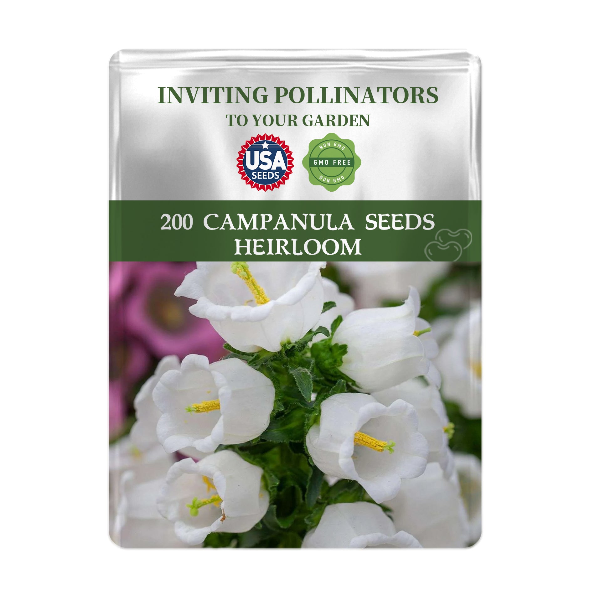 Bellflower Campanula Seeds packet for Campanula seeds with white flowers on a white background