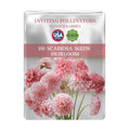Pincushion Flower Scabiosa Seeds packet with pink scabiosa flowers and branding on a white background