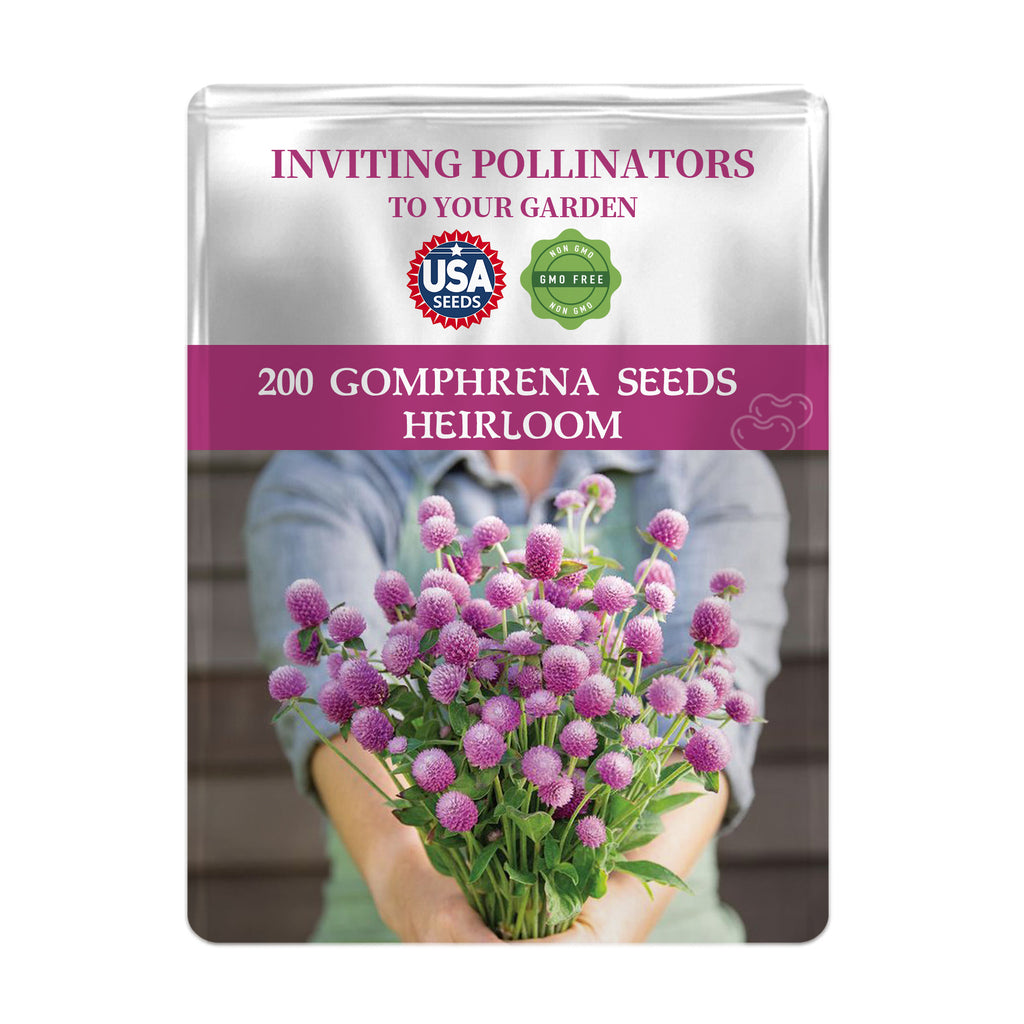 Seeds packet for Globe Amaranth Gomphrena Seeds with a person holding flowers on a white background