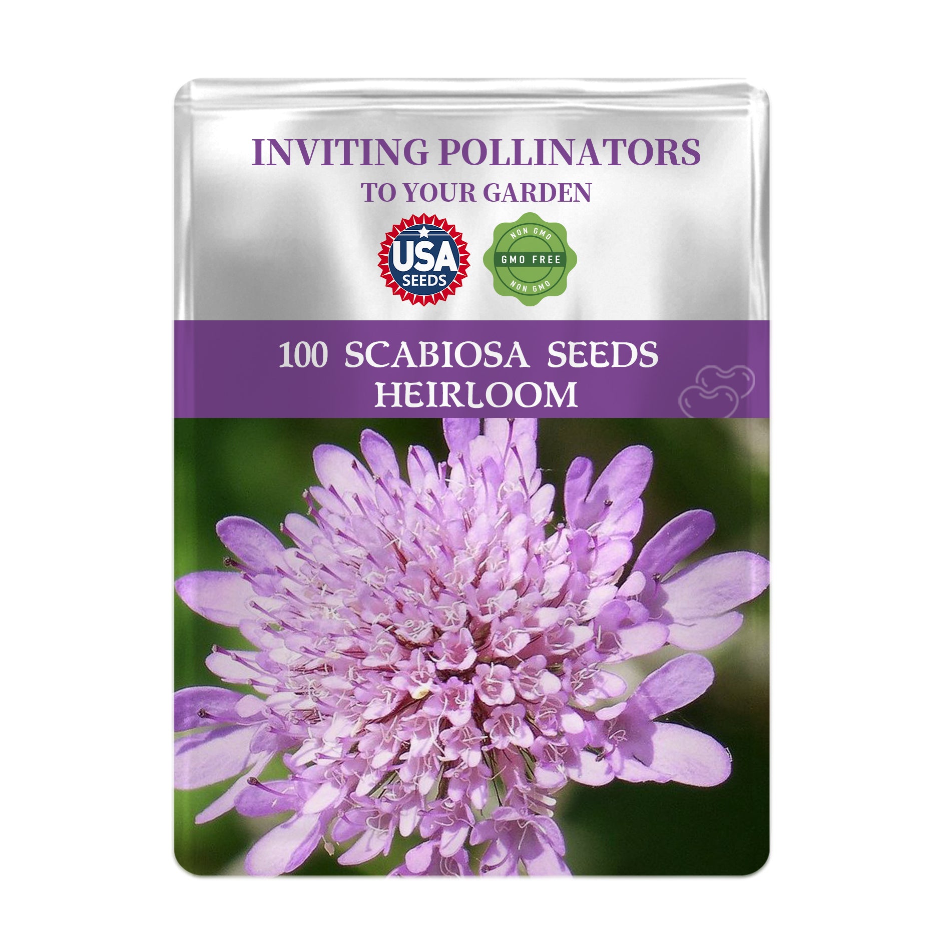 Seed packet for Scabiosa seeds with a purple flower on a white background
