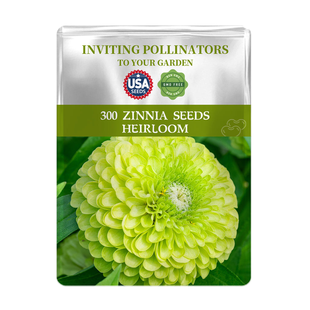 Seed packet for Zinnia seeds with a green flower on a white background