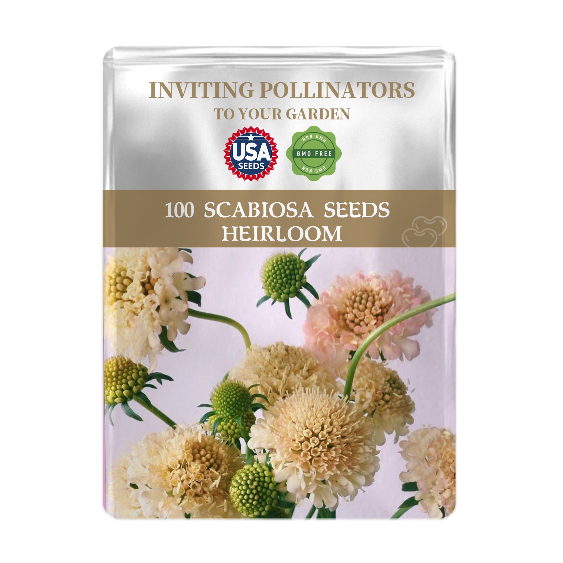 Seeds packet for Scabiosa seeds with floral design on a white background