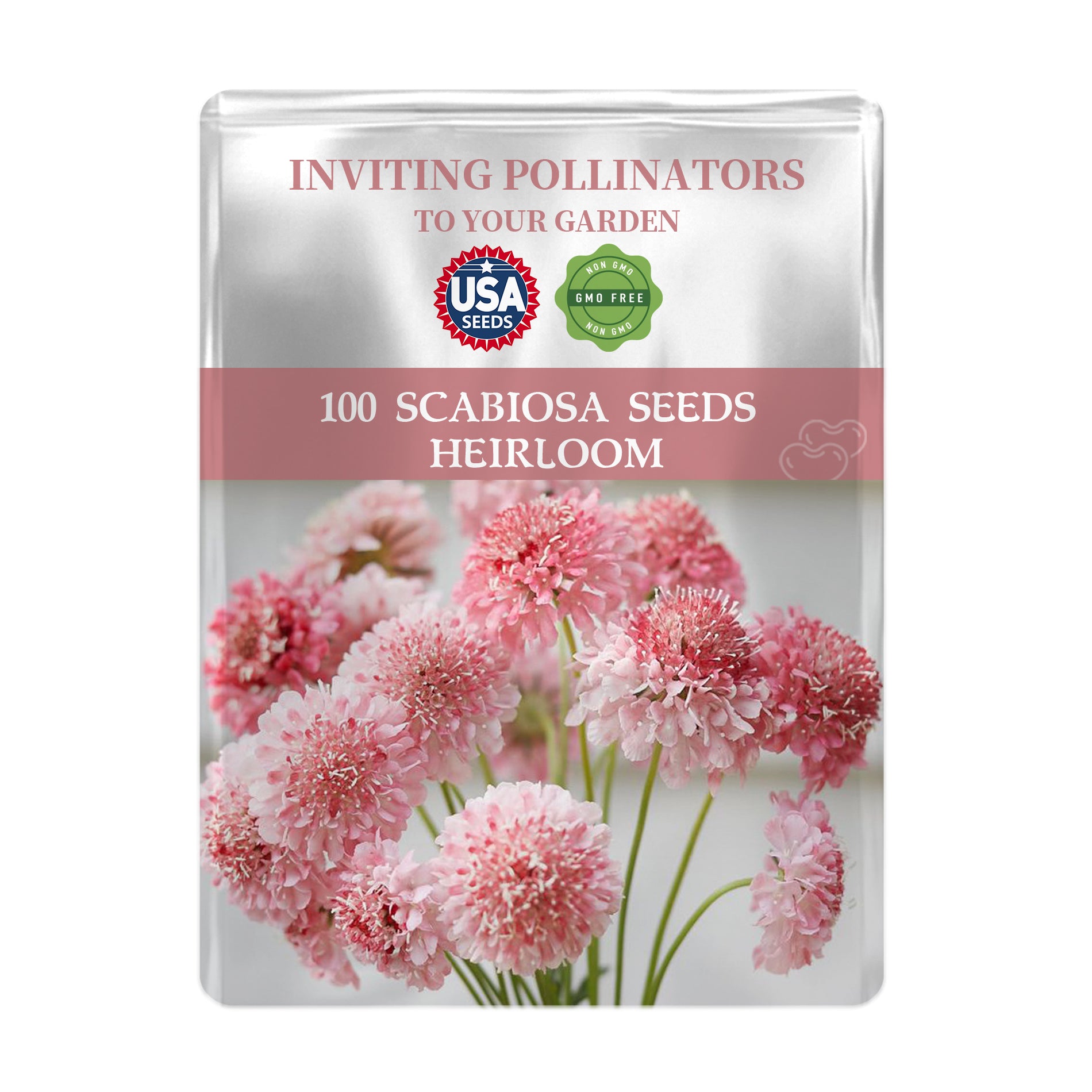 Seeds packet with pink scabiosa flowers and branding on a white background