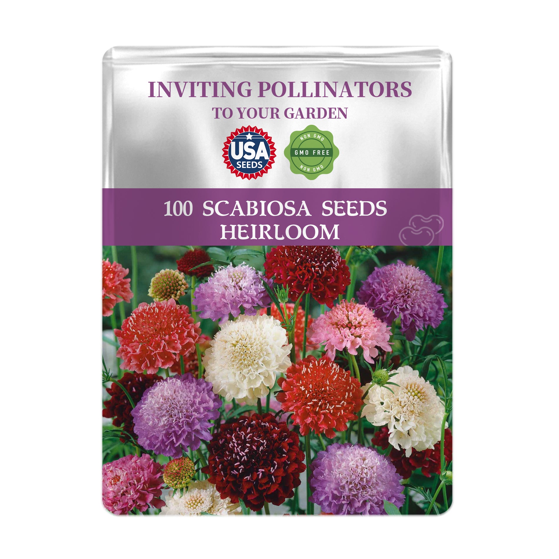 Seeds packet for Scabiosa seeds with colorful flowers on a white background