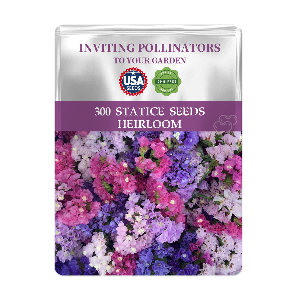 Statice Seeds-Sea Lavender Everlasting Seeds packet with colorful statice flowers and branding on a white background