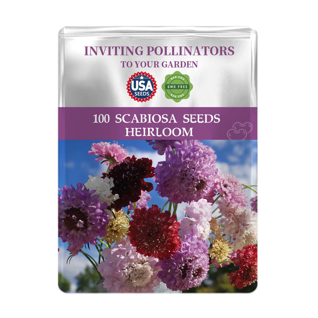 Seeds packet for Scabiosa seeds with colorful flowers on a white background