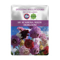 Seeds packet for Scabiosa seeds with colorful flowers on a white background