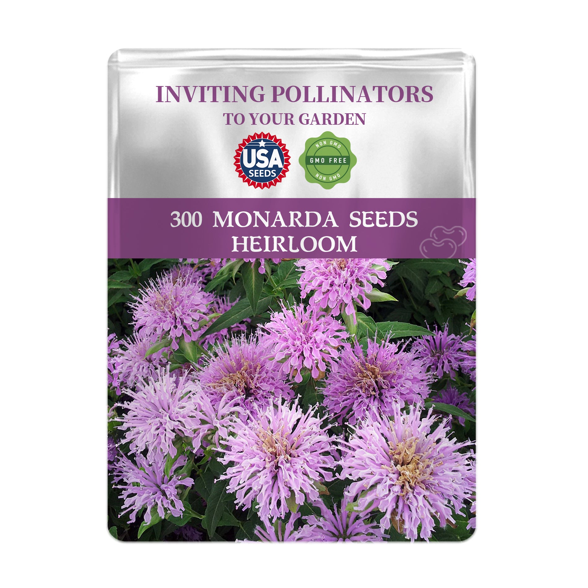 Seeds packet for Monarda seeds with purple flowers on a white background