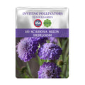 Seeds packet for Scabiosa seeds with purple flowers on a white background
