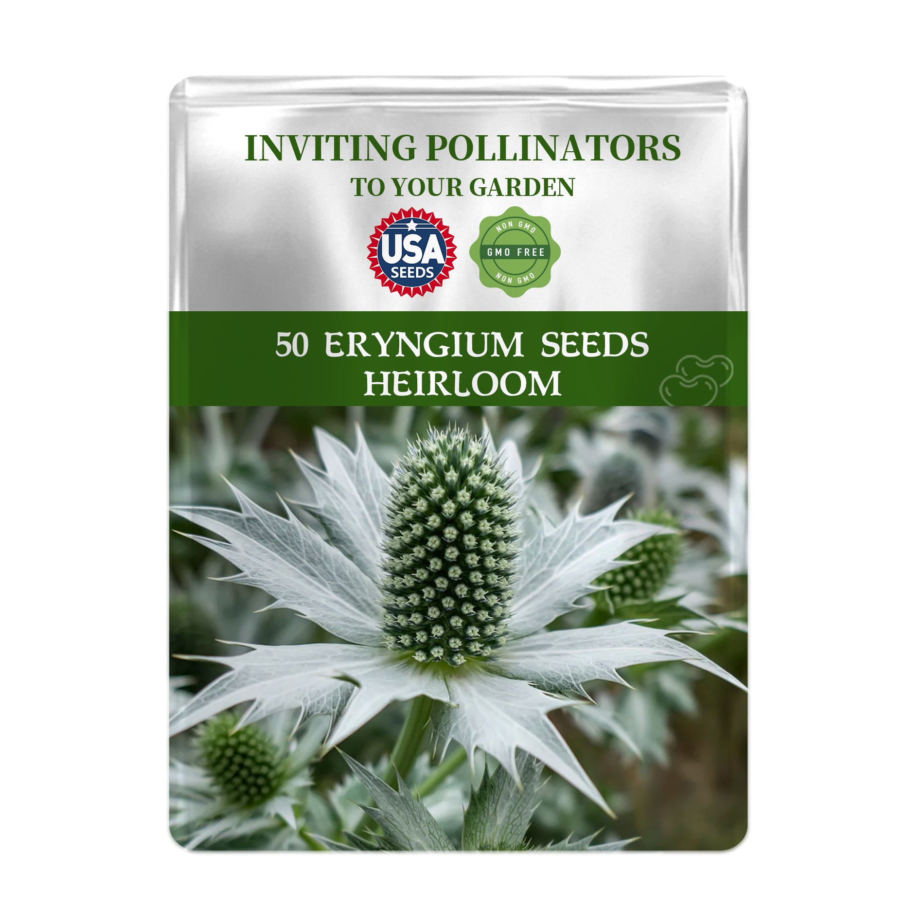 Seeds packet for Sea Holly Thistle Eryngium Seeds with a plant image on a white background