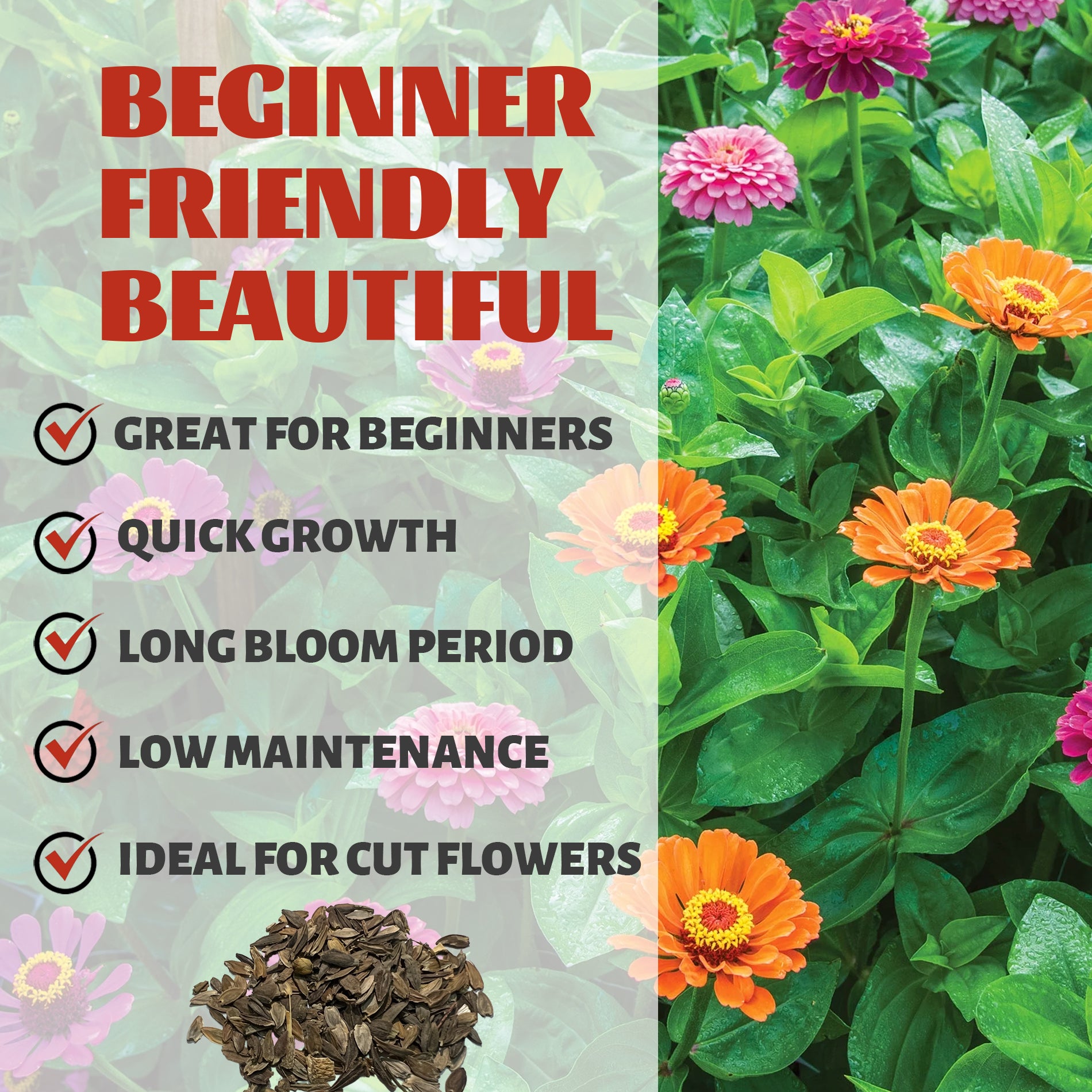 Elegant Cut & Come Again Zinnia Seeds with text highlighting features like 'Great for Beginners', 'Quick Growth', 'Long Bloom Period', 'Low Maintenance', and 'Ideal for Cut Flowers'.