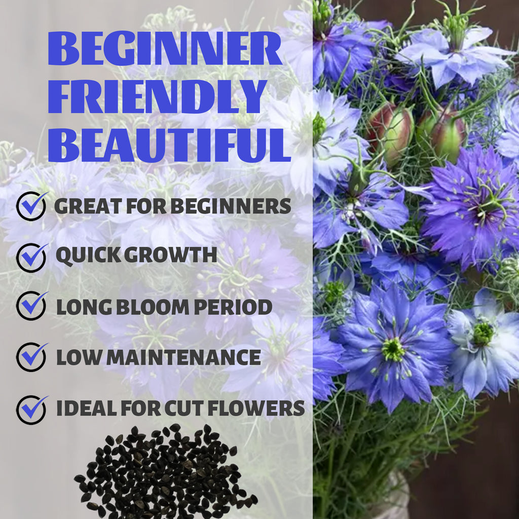 Love-In-A-Mist Nigella Seeds with text highlighting features like 'Great for Beginners', 'Quick Growth', 'Long Bloom Period', 'Low Maintenance', and 'Ideal for Cut Flowers'.