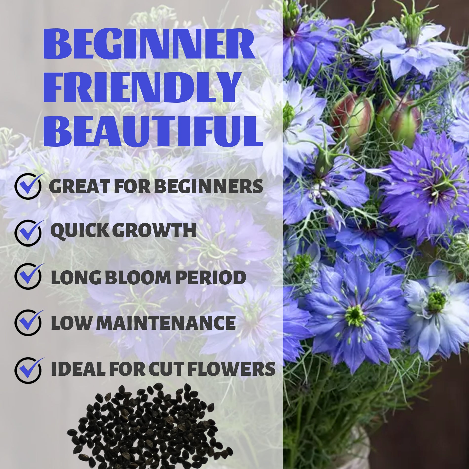 Love-In-A-Mist Nigella Seeds with text highlighting features like 'Great for Beginners', 'Quick Growth', 'Long Bloom Period', 'Low Maintenance', and 'Ideal for Cut Flowers'.
