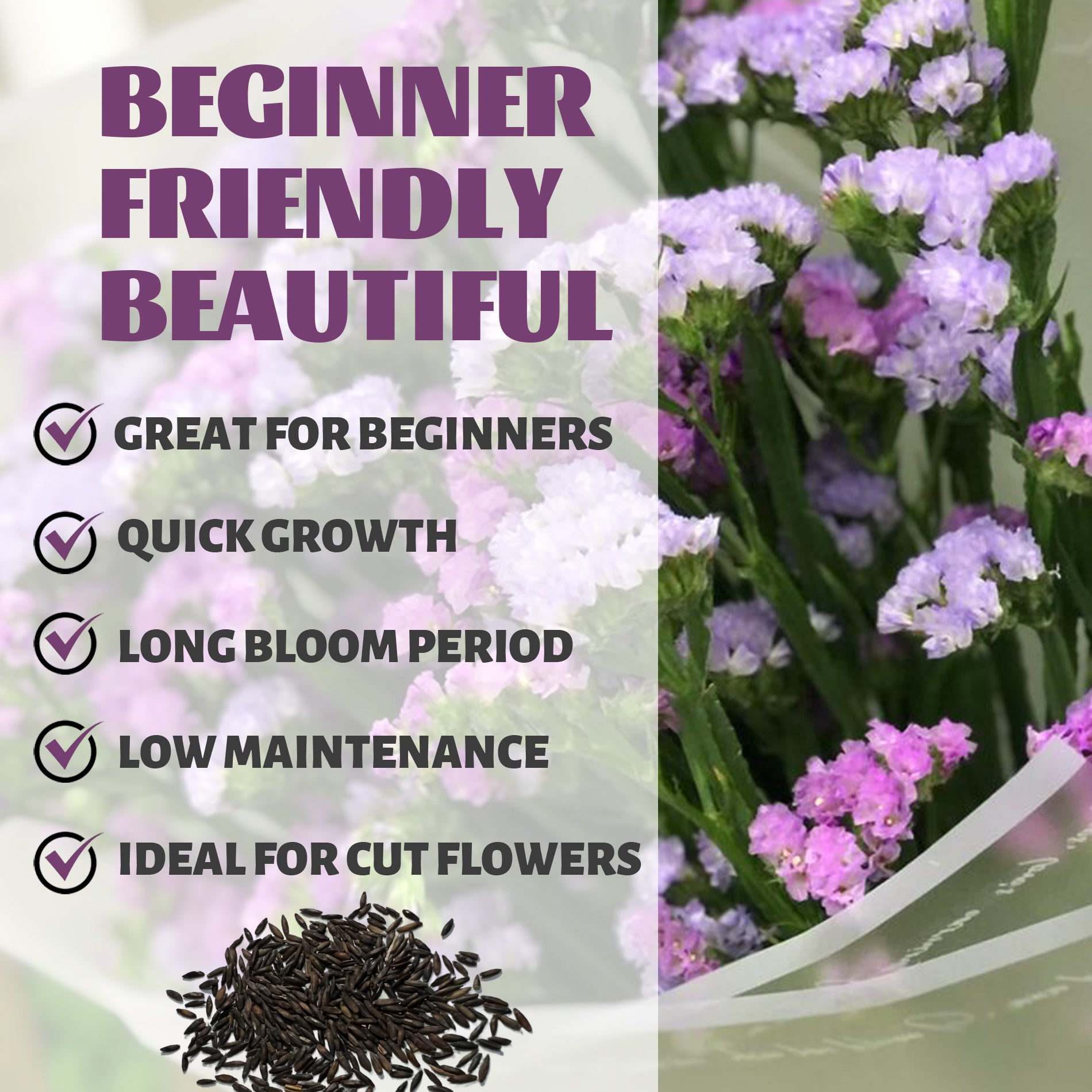 Statice Seeds-Sea Lavender Everlasting seeds with text highlighting features like 'Great for Beginners', 'Quick Growth', 'Long Bloom Period', 'Low Maintenance', and 'Ideal for Cut Flowers'.