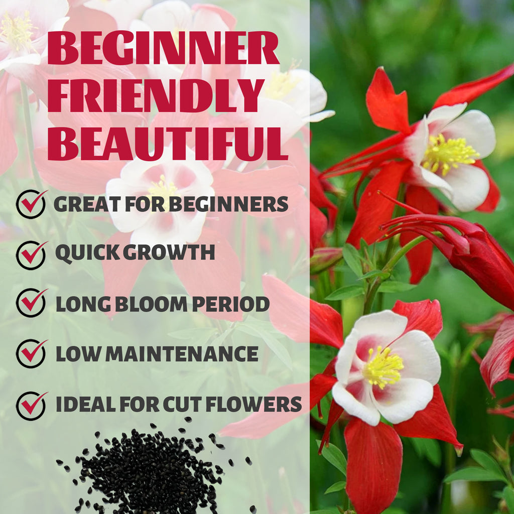 Granny’s Bonnet Columbine Seeds packaging with red and white flowers and text highlighting features.