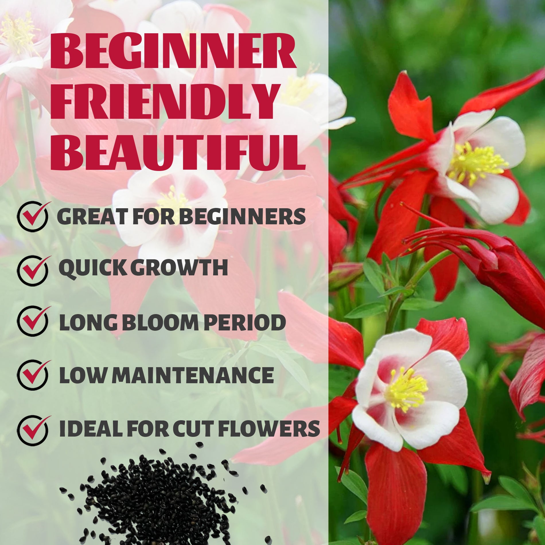 Granny’s Bonnet Columbine Seeds packaging with red and white flowers and text highlighting features.