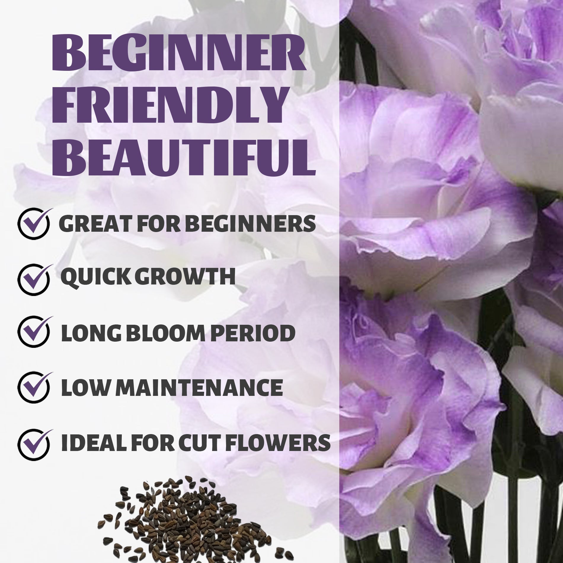 Bouquet of purple and white flowers with text highlighting features like 'Great for Beginners', 'Quick Growth', 'Long Bloom Period', 'Low Maintenance', and 'Ideal for Cut Flowers'.Double Rose Varieties Lisianthus Seeds