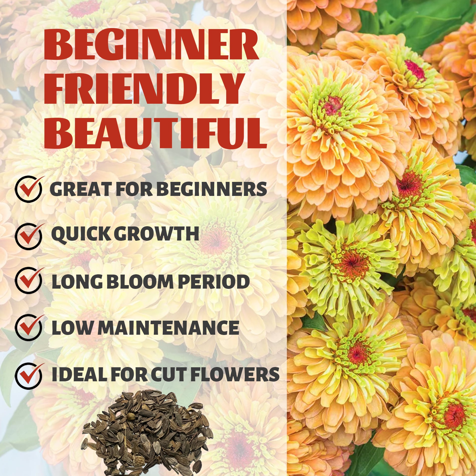 Floral arrangement with text highlighting features of a Zinnia Seeds Elegant Cut & Come Again plant, including 'Beginner Friendly Beautiful' and bullet points about the plant's characteristics.