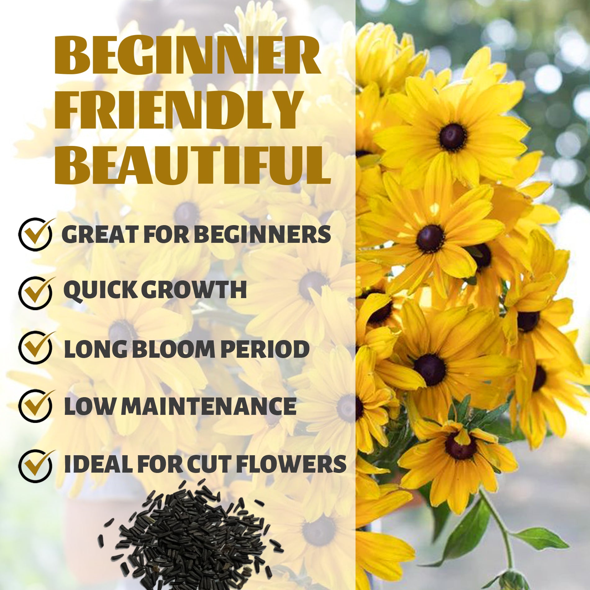 Black-Eyed Susan Rudbeckia Seeds Yellow flowers with text highlighting features like 'Great for Beginners', 'Quick Growth', 'Long Bloom Period', 'Low Maintenance', and 'Ideal for Cut Flowers'.