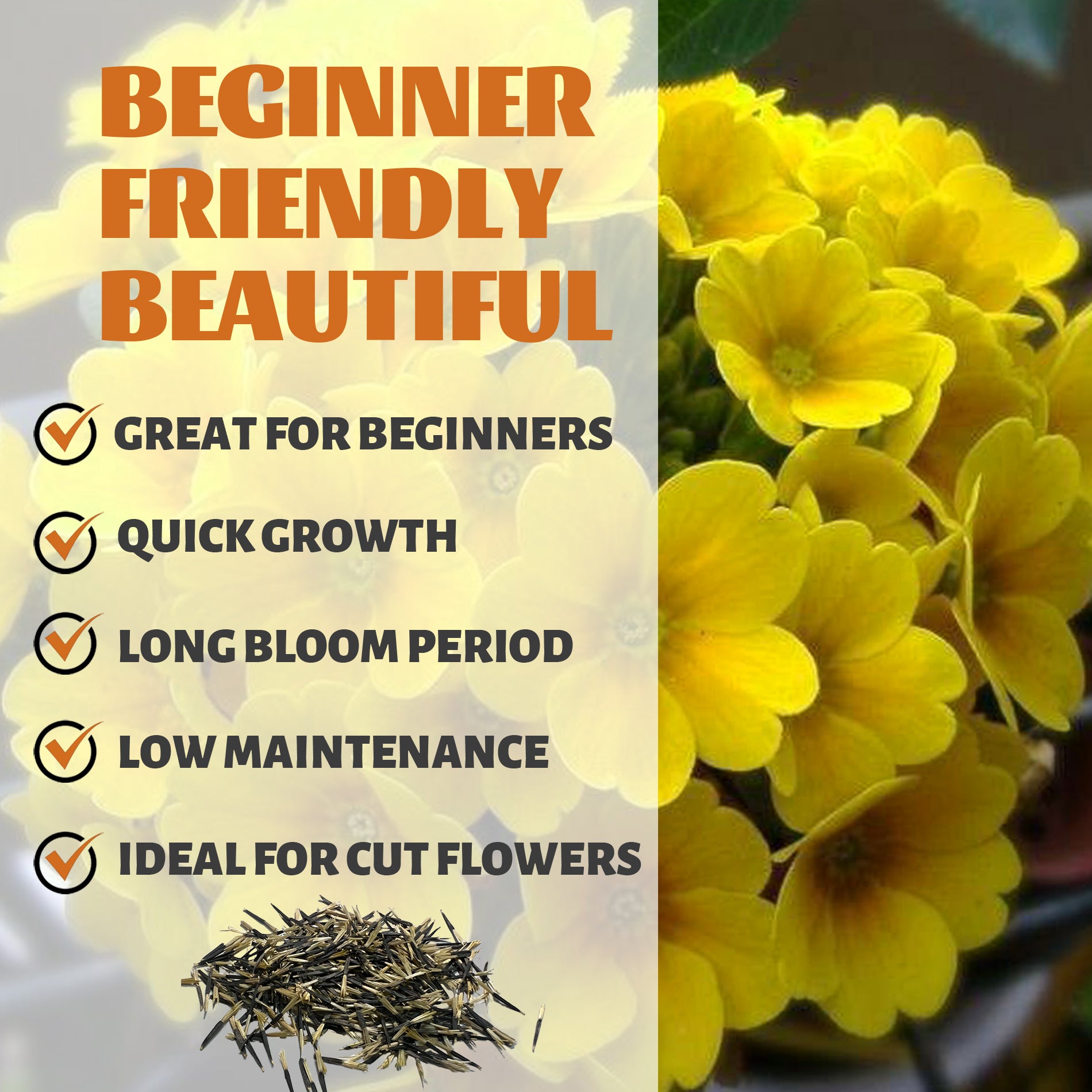 Tangerine Gem Marigold Seed Yellow flowers with text highlighting features like 'Great for Beginners', 'Quick Growth', 'Long Bloom Period', 'Low Maintenance', and 'Ideal for Cut Flowers'.