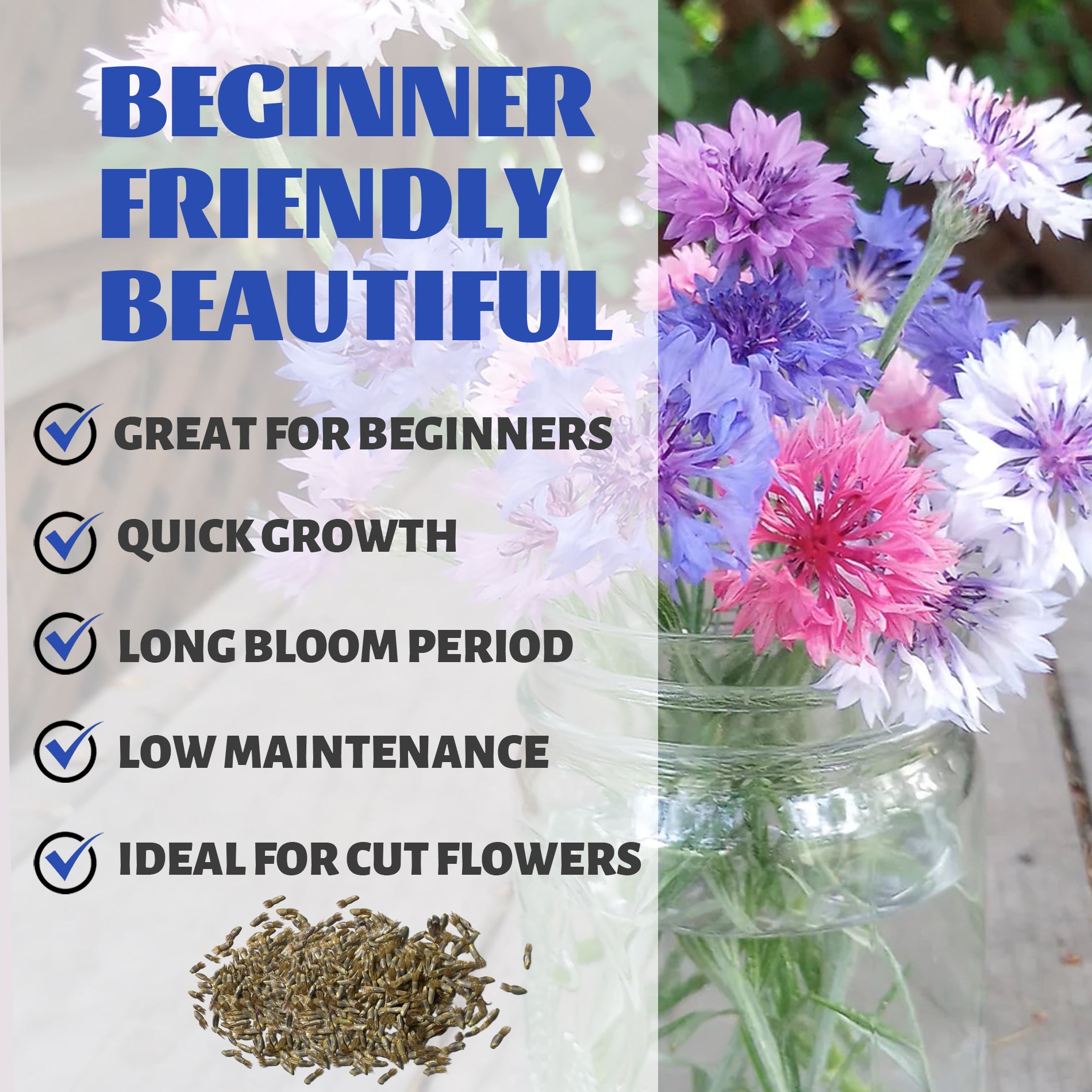 Floral arrangement with text highlighting features like 'Great for Beginners', 'Quick Growth', 'Long Bloom Period', 'Low Maintenance', and 'Ideal for Cut Flowers'.Bachelor's Button Knapweed Cornflower Centaurea Seeds