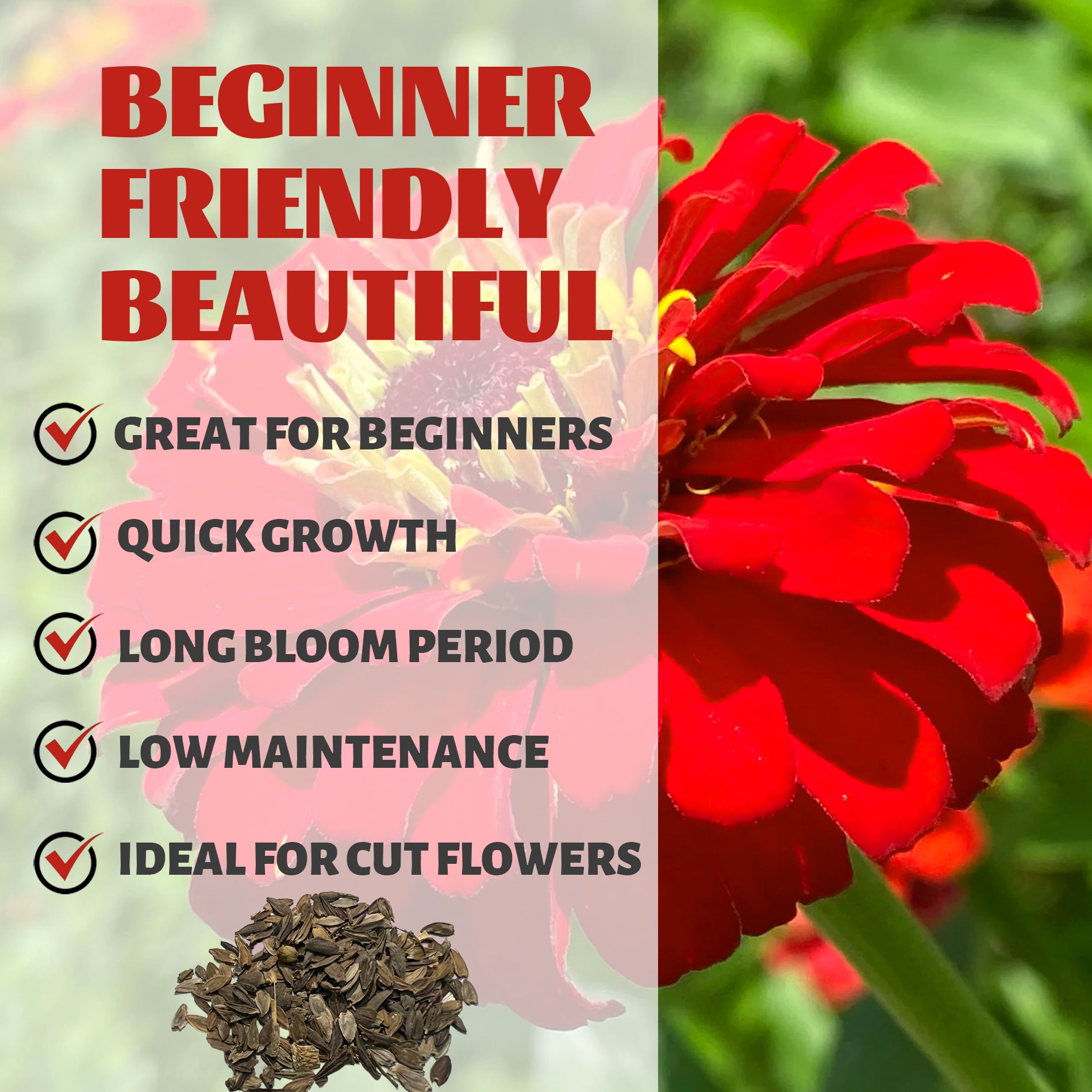 Elegant Cut & Come Again Zinnia Seeds Red flower with text highlighting features like 'Great for Beginners', 'Quick Growth', 'Long Bloom Period', 'Low Maintenance', and 'Ideal for Cut Flowers'.