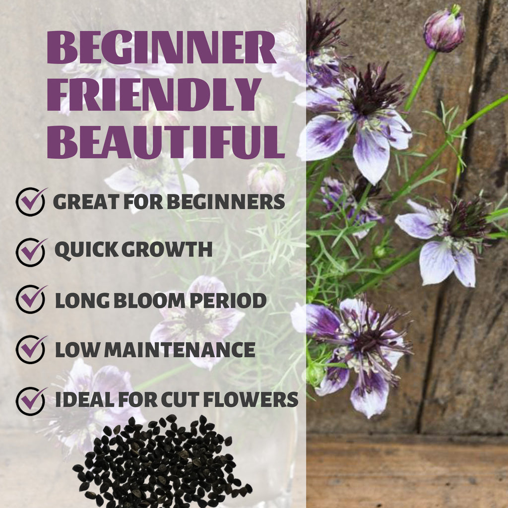 Love-In-A-Mist Nigella Seeds with text highlighting features like 'Great for Beginners', 'Quick Growth', 'Long Bloom Period', 'Low Maintenance', and 'Ideal for Cut Flowers'.