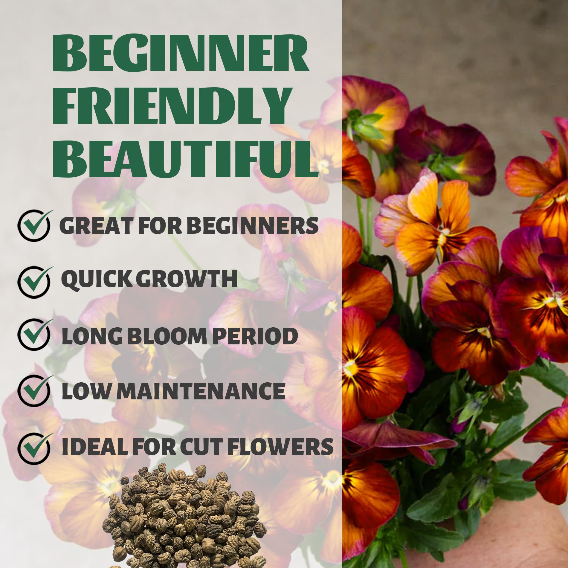 Indian Cress Nasturtium Seeds with colorful flowers and text highlighting features